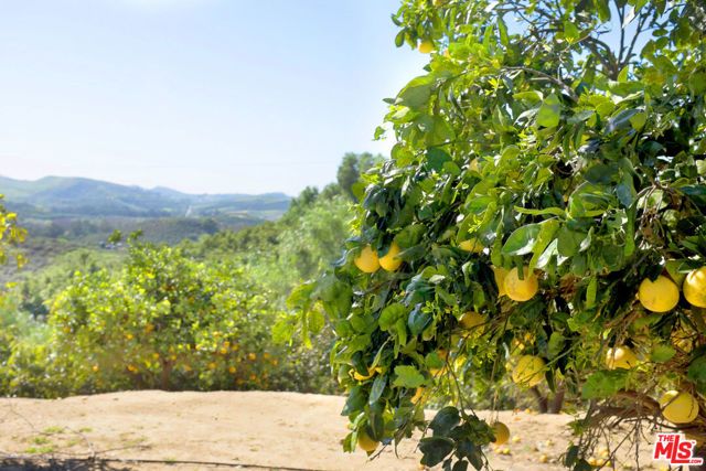 8018 Balcom Canyon Road, Somis, CA 93066