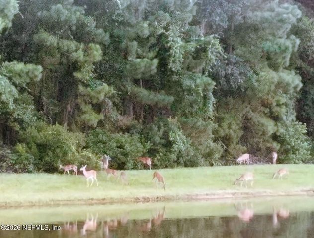 821 W CUMBERLAND Court, St. Johns, FL 32259