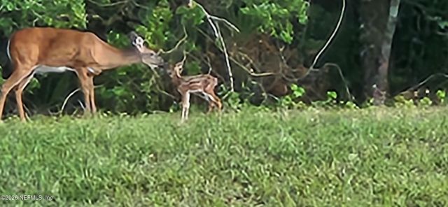 821 W CUMBERLAND Court, St. Johns, FL 32259