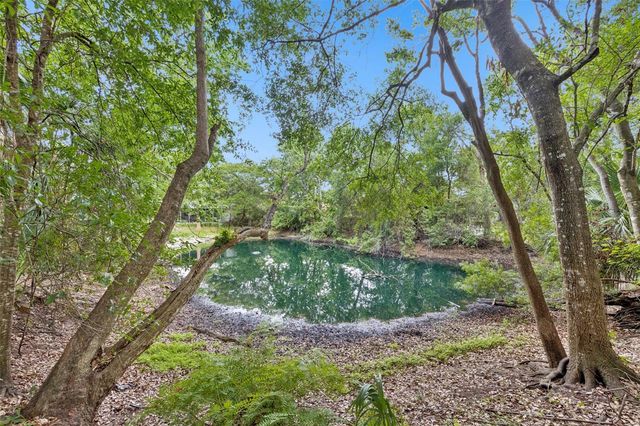 1318 COLETTA DRIVE, Orlando, FL 32807