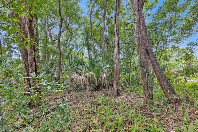 1318 COLETTA DRIVE, Orlando, FL 32807