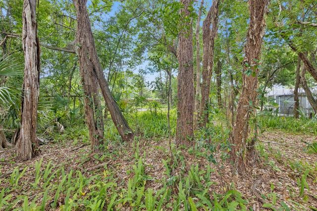 1318 COLETTA DRIVE, Orlando, FL 32807