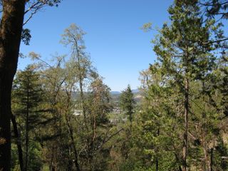 Bushnell Way 412, Grants Pass, OR 97527