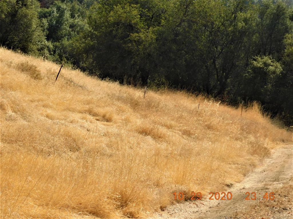 Image 7 of property listing at 0 Hwy 180, Dunlap, CA 93621