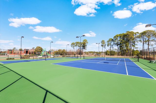 1812 Wood Stork Dr., Conway, SC 29526