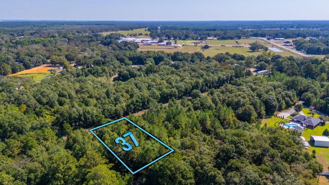 LOT 37 Blueberry Drive, Laurel Hill, FL 32567