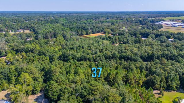 LOT 37 Blueberry Drive, Laurel Hill, FL 32567