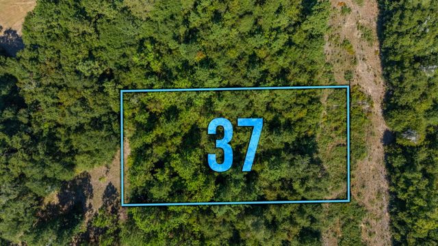 LOT 37 Blueberry Drive, Laurel Hill, FL 32567