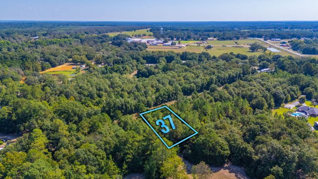 LOT 37 Blueberry Drive, Laurel Hill, FL 32567