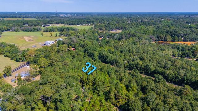 LOT 37 Blueberry Drive, Laurel Hill, FL 32567