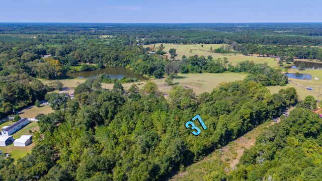 LOT 37 Blueberry Drive, Laurel Hill, FL 32567