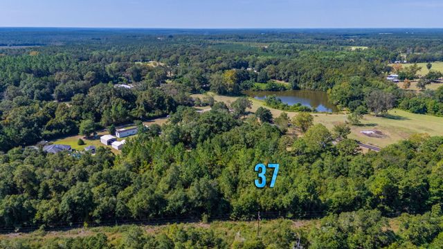 LOT 37 Blueberry Drive, Laurel Hill, FL 32567