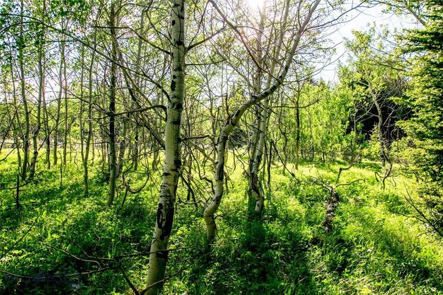 Sun West Ranch Lot 34, Cameron, MT 59720