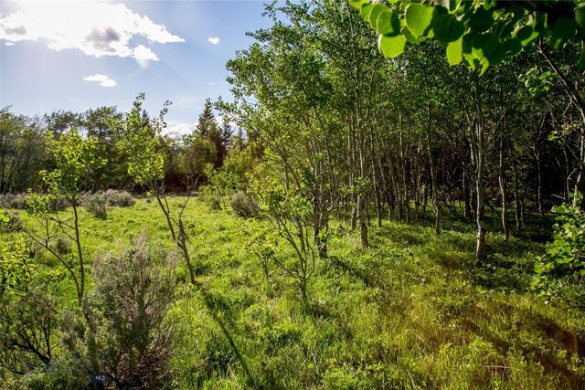 Sun West Ranch Lot 34, Cameron, MT 59720
