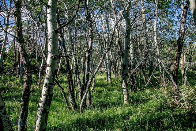 Sun West Ranch Lot 34, Cameron, MT 59720