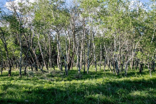 Sun West Ranch Lot 34, Cameron, MT 59720