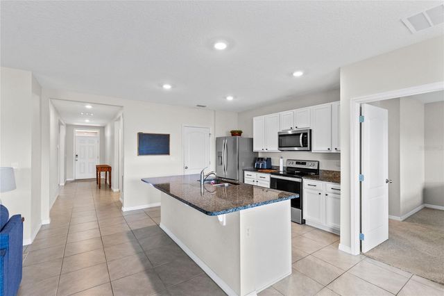 5207 MAHOGANY DRIVE, Mount Dora, FL 32757