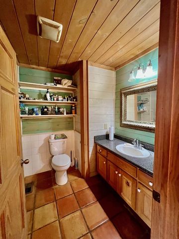 156 Peter Knob Road, Blue Ridge, GA 30513