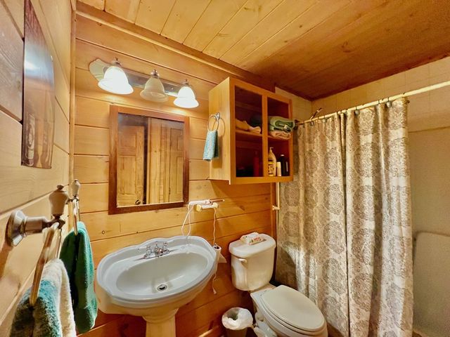 156 Peter Knob Road, Blue Ridge, GA 30513