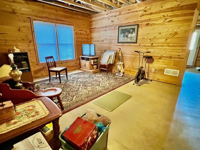 156 Peter Knob Road, Blue Ridge, GA 30513