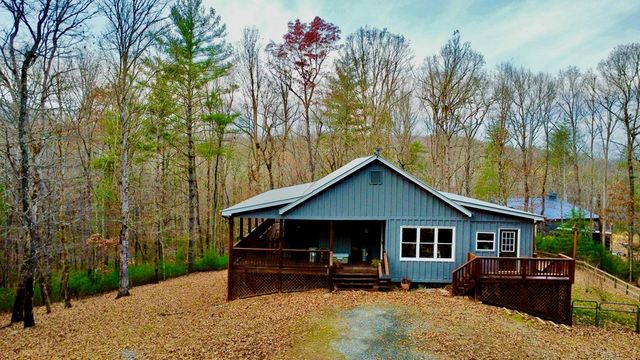156 Peter Knob Road, Blue Ridge, GA 30513