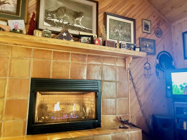 156 Peter Knob Road, Blue Ridge, GA 30513