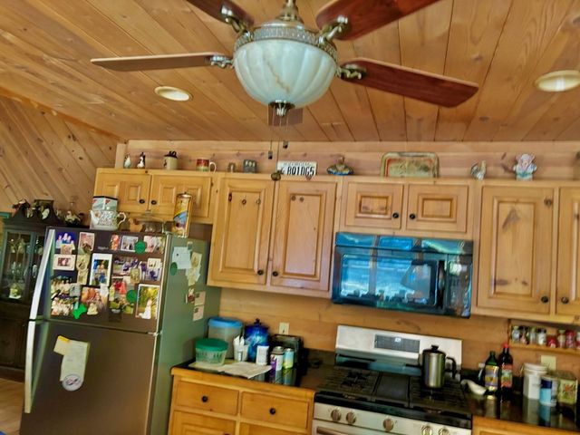 156 Peter Knob Road, Blue Ridge, GA 30513