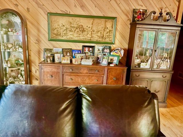 156 Peter Knob Road, Blue Ridge, GA 30513