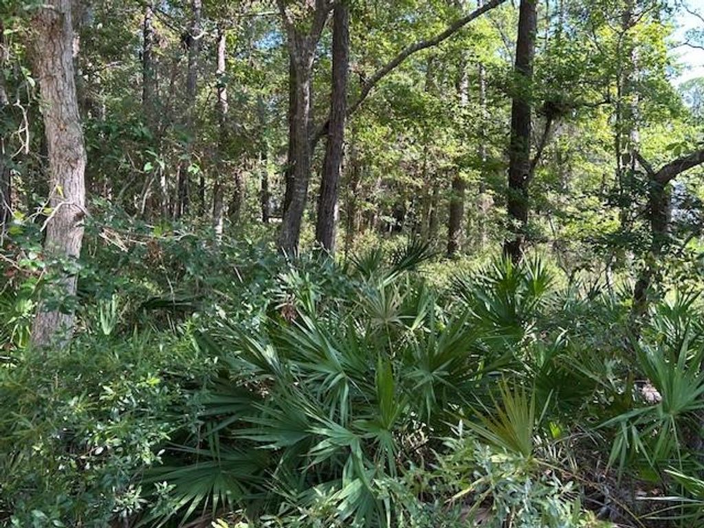 712 Indian Place, Dauphin Island, AL 36528 — exterior