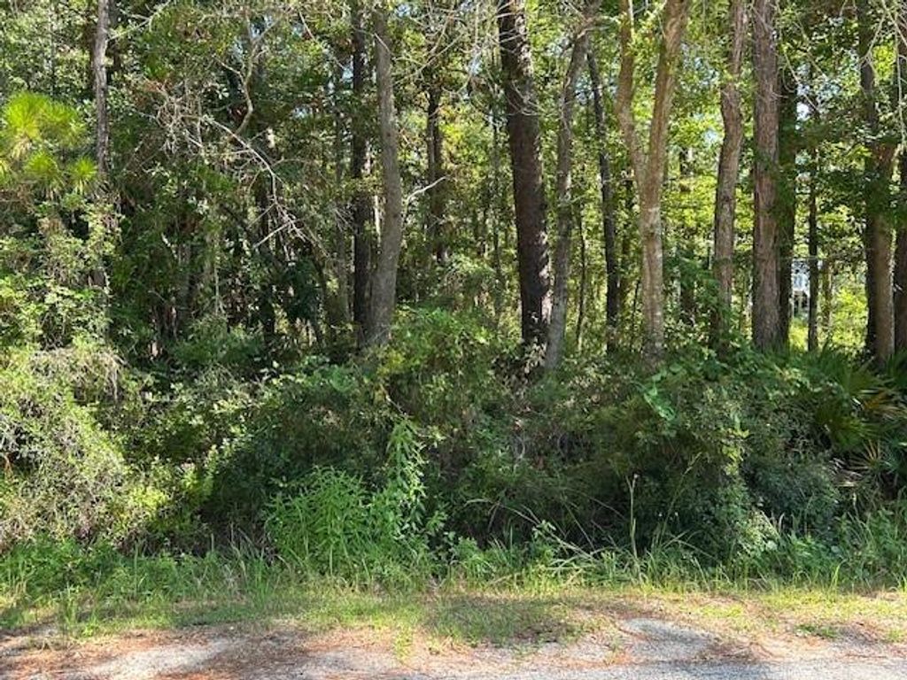 712 Indian Place, Dauphin Island, AL 36528 — photo 2