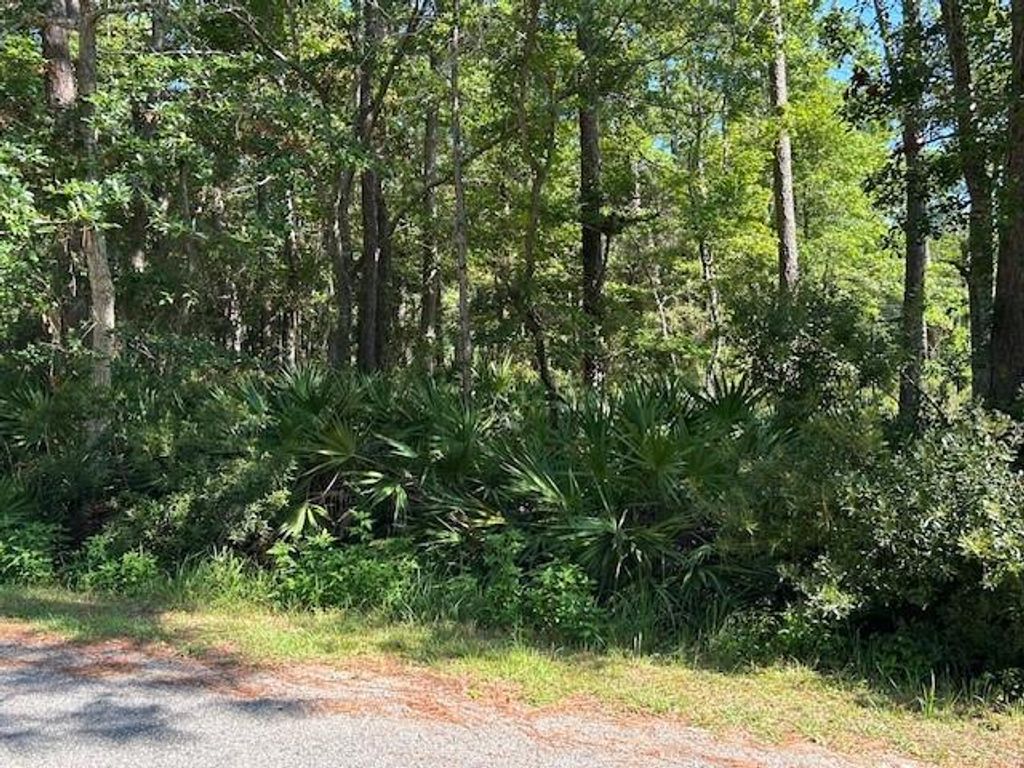 712 Indian Place, Dauphin Island, AL 36528 — photo 3