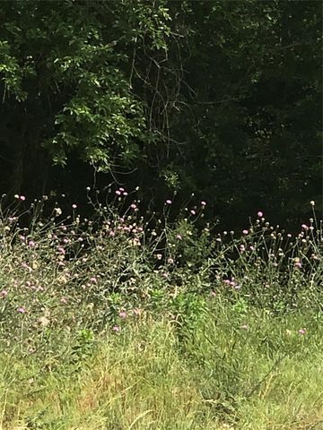 000 Lot 27 Winding Branch Lane, Chappell Hill, TX 77426