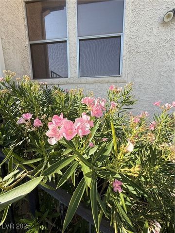 3606 DI SALVO Drive 133, Las Vegas, NV 89103