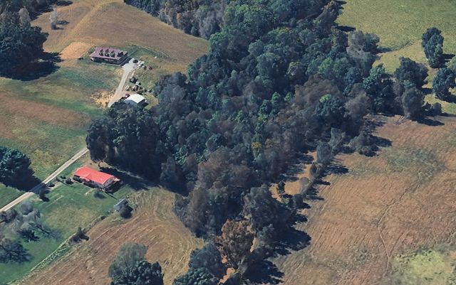 336B E Biggs Rd, Portland, TN 37148