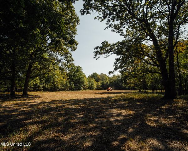 Ms Highway 7 North, Greenwood, MS 38930