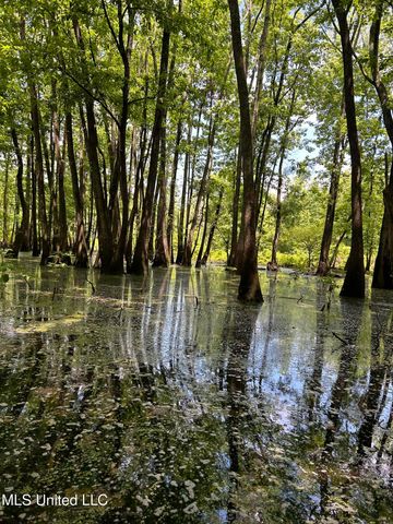 Ms Highway 7 North, Greenwood, MS 38930