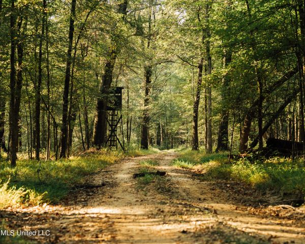 Ms Highway 7 North, Greenwood, MS 38930
