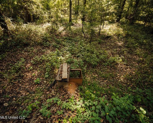 Ms Highway 7 North, Greenwood, MS 38930