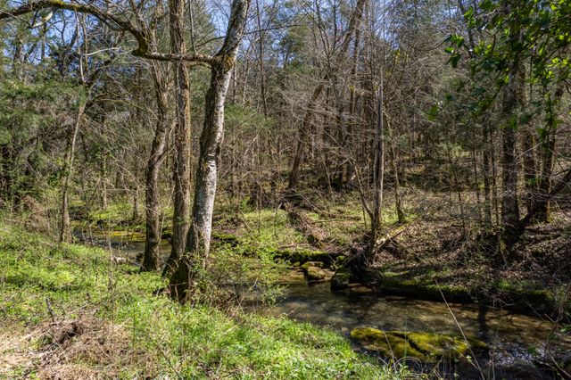 4770 Delina Rd, Cornersville, TN 37047