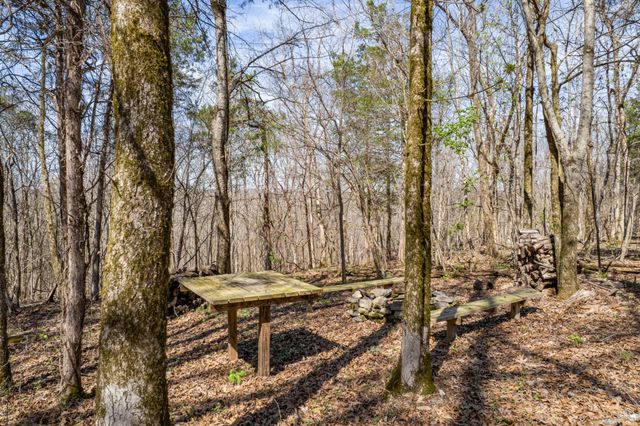 4770 Delina Rd, Cornersville, TN 37047