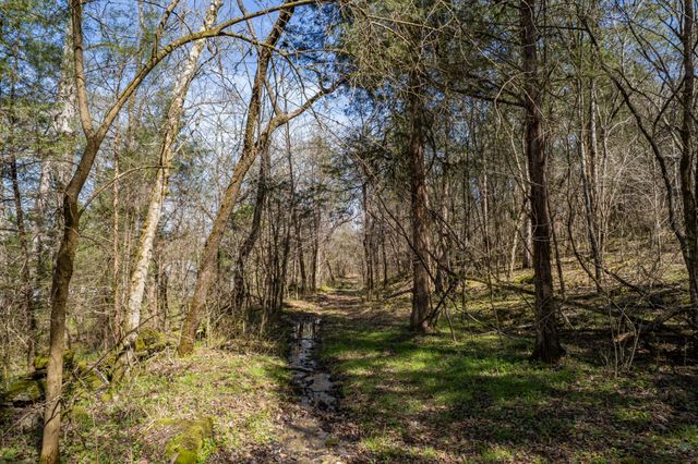 4770 Delina Rd, Cornersville, TN 37047