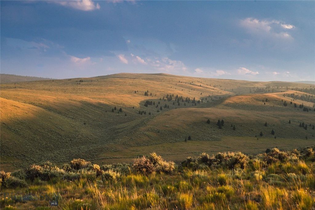 31420 Hwy 324, Dillon, MT 59725 photo 11