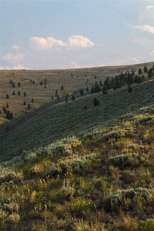 31420 Hwy 324, Dillon, MT 59725 photo 22