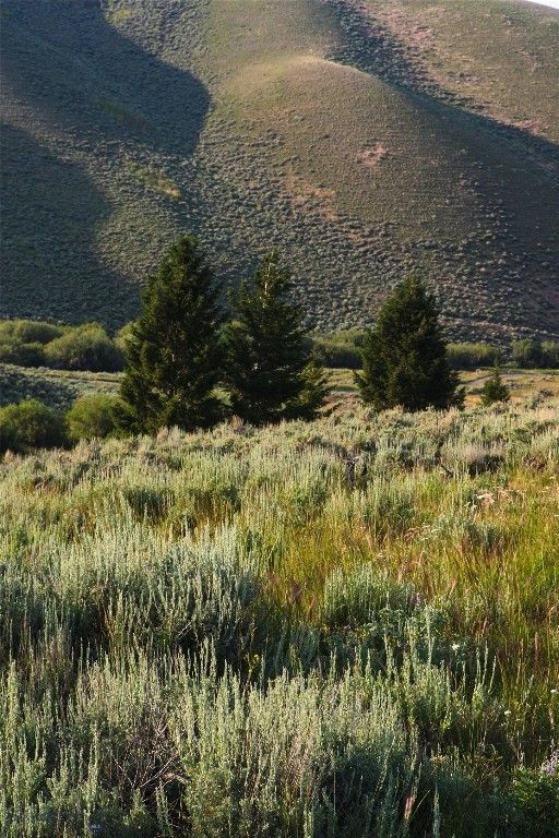 31420 Hwy 324, Dillon, MT 59725 photo 23