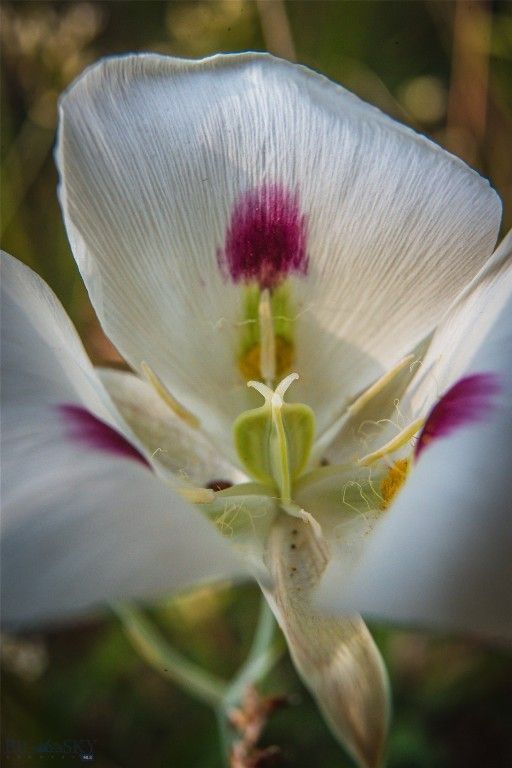 31420 Hwy 324, Dillon, MT 59725 photo 26