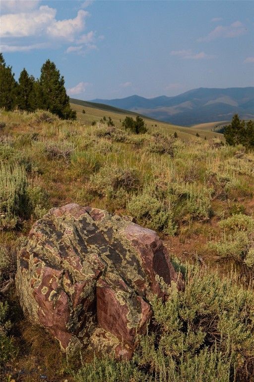 31420 Hwy 324, Dillon, MT 59725 photo 32