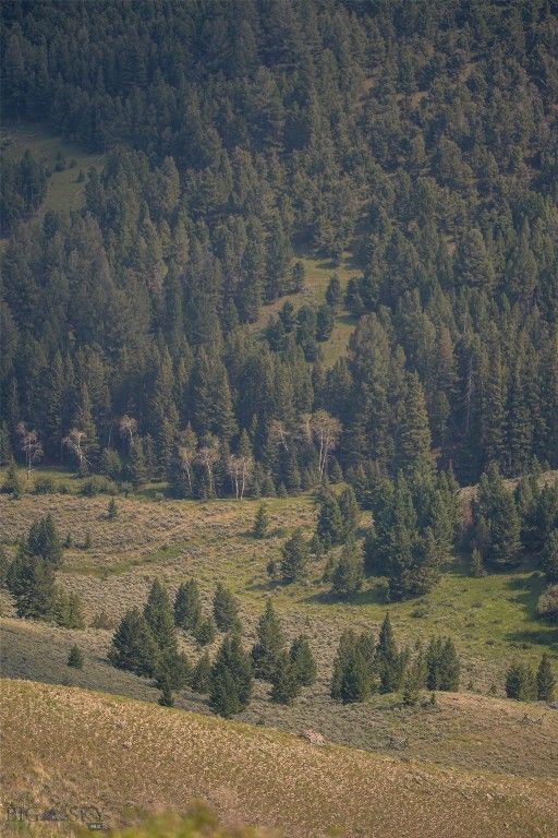 31420 Hwy 324, Dillon, MT 59725 photo 35