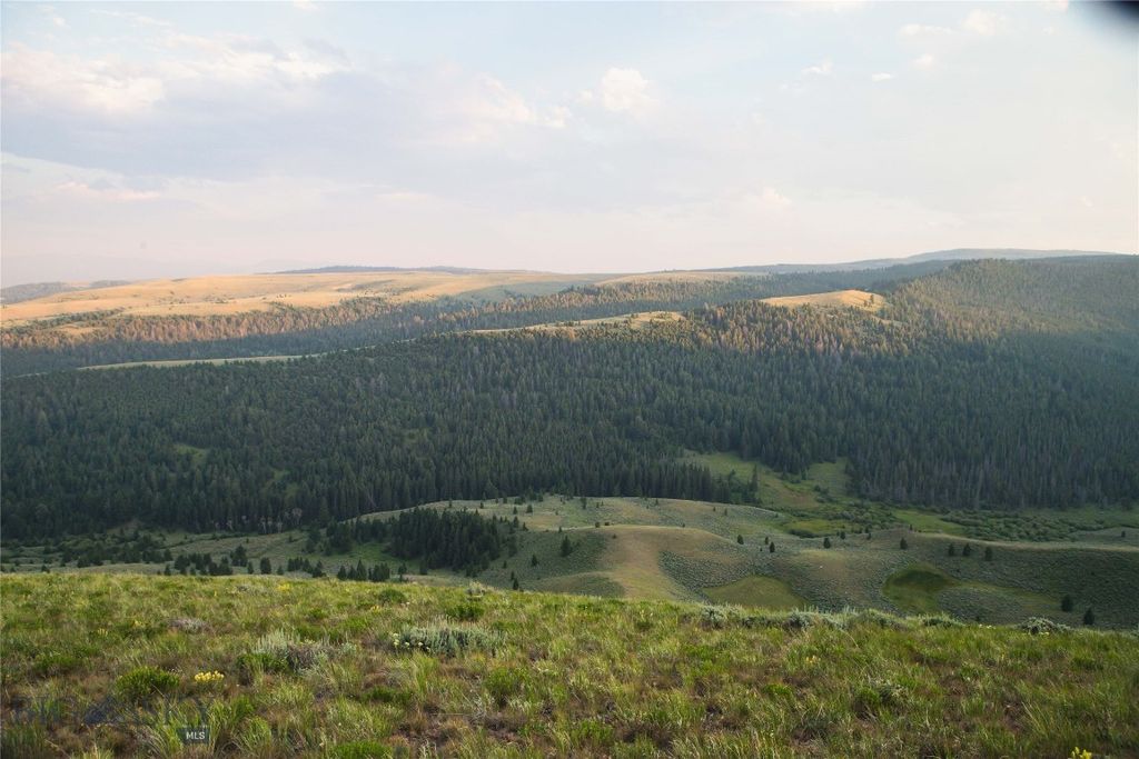 31420 Hwy 324, Dillon, MT 59725 photo 37