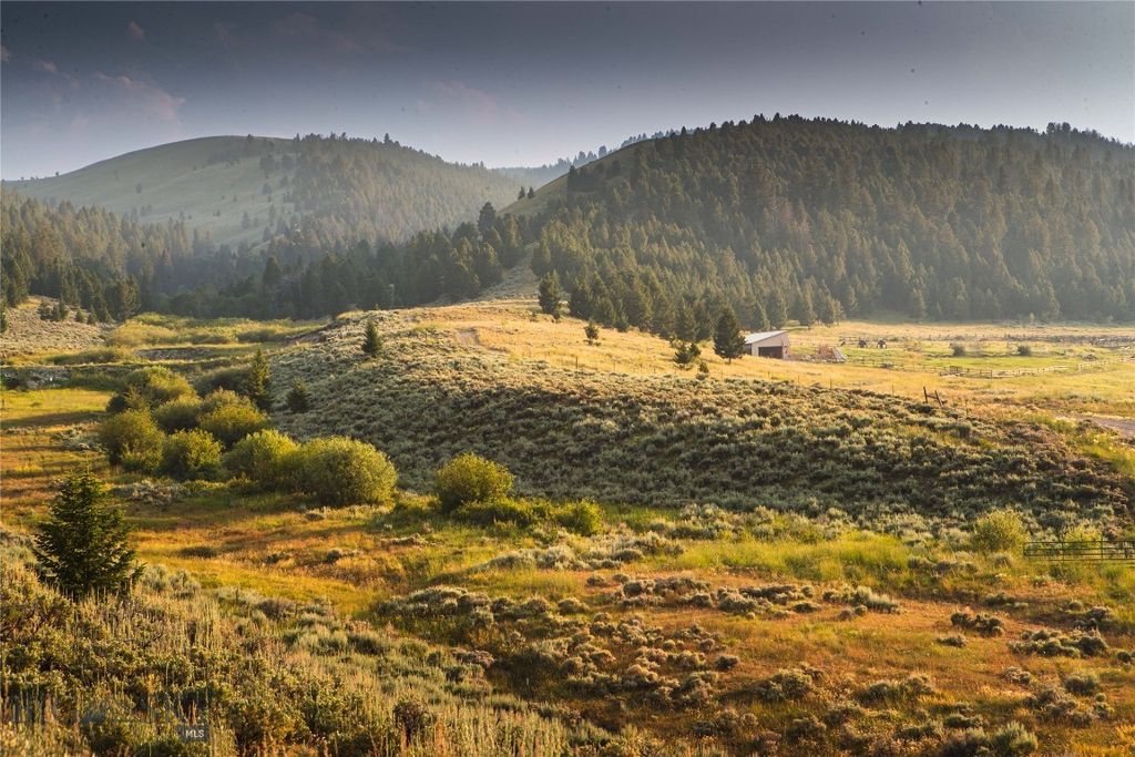 31420 Hwy 324, Dillon, MT 59725 photo 6