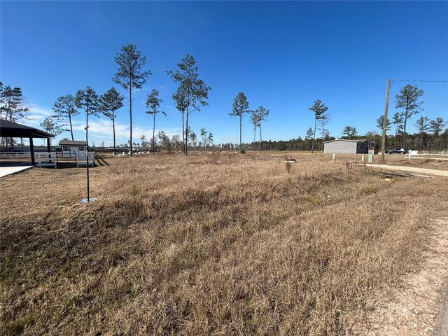 12228 Truchard Drive, Conroe, TX 77306